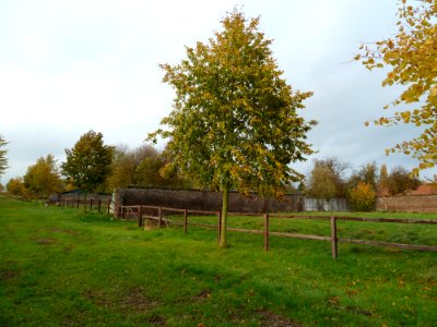Ulestraten-Muren moestuin Kasteel Vliek (3)