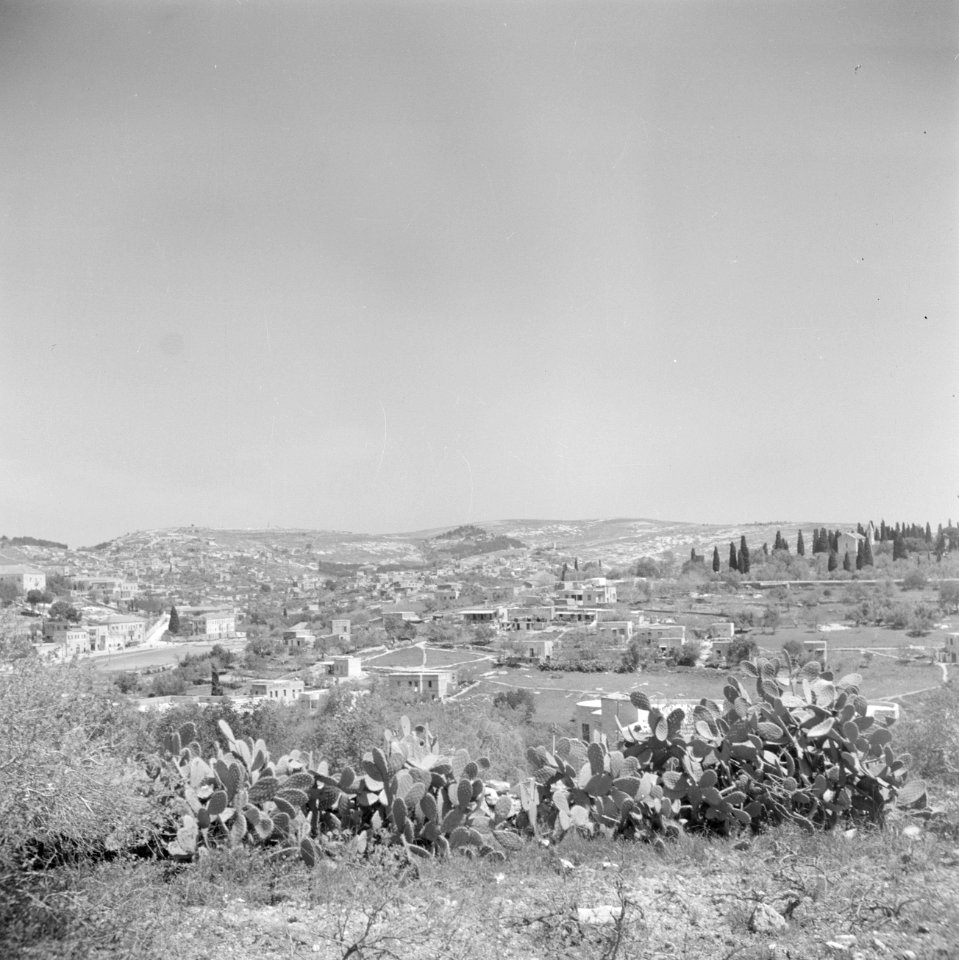 Uitzicht over een deel van Nazareth met op de voorgrond cactussen, Bestanddeelnr 255-1024