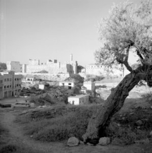 Uitzicht op de Toren van David en de oude stadsmuren, Bestanddeelnr 255-2290