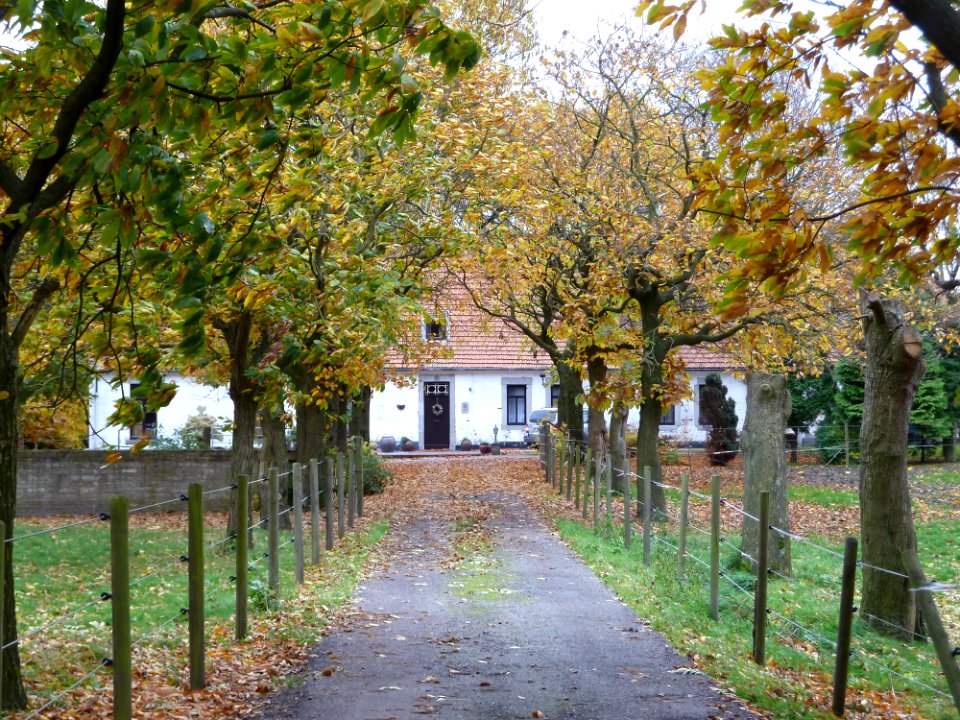Ulestraten-Langs de Gewannen 75 (1)