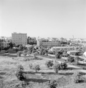 Uitzicht op de stad vanaf de Olijfberg, Bestanddeelnr 255-2309