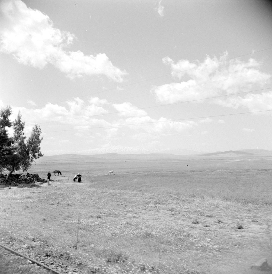 Uitzicht over vlakte met aan de horizon de berg Hermon, Bestanddeelnr 255-5800