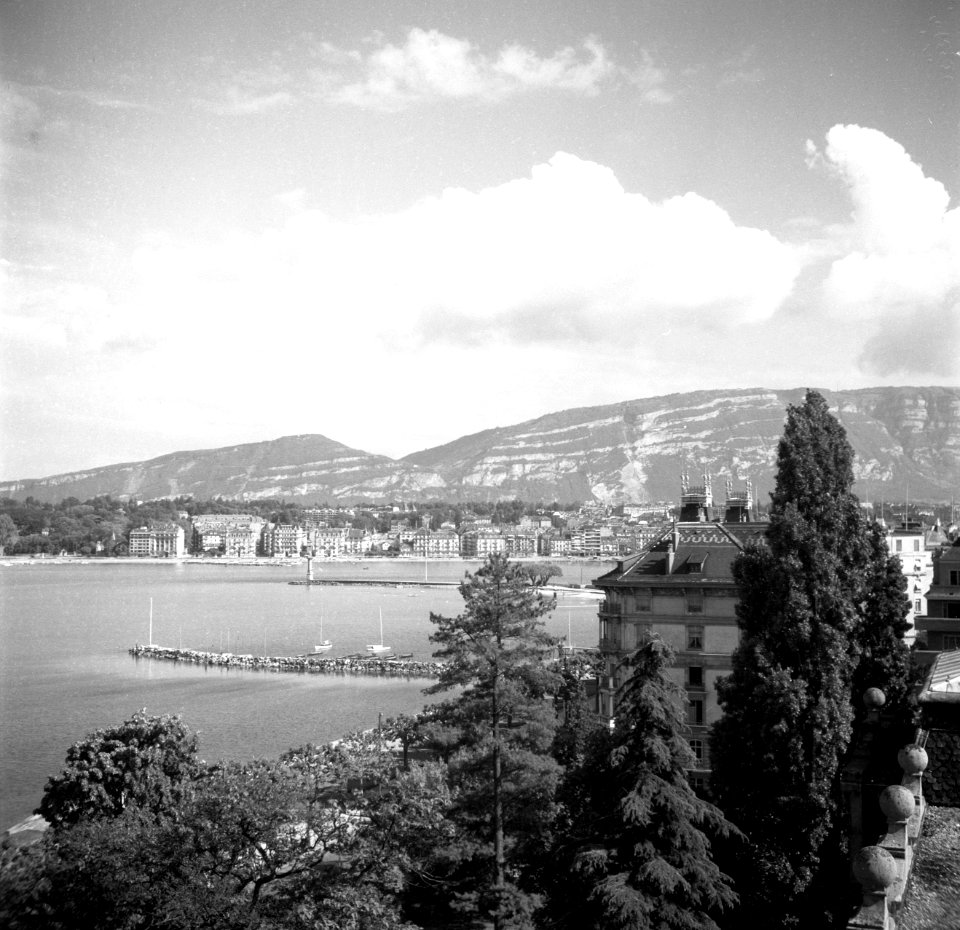 Uitzicht over het meer van Genève, Bestanddeelnr 254-2208