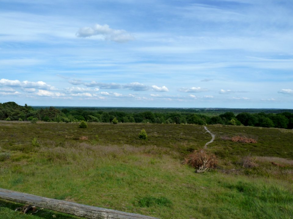Uitzicht vanaf de Noetselerberg (5)