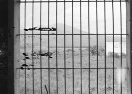 Uitzicht vanuit getralied raam, Bestanddeelnr 373-1-6