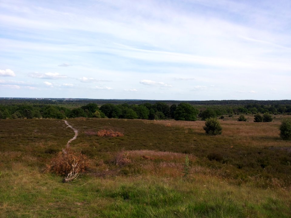 Uitzicht vanaf de Noetselerberg (2)