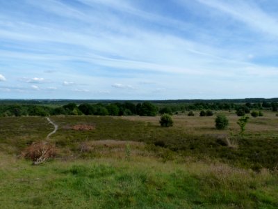 Uitzicht vanaf de Noetselerberg (4)