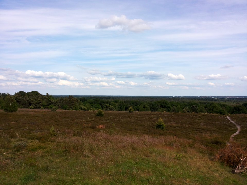 Uitzicht vanaf de Noetselerberg (3)