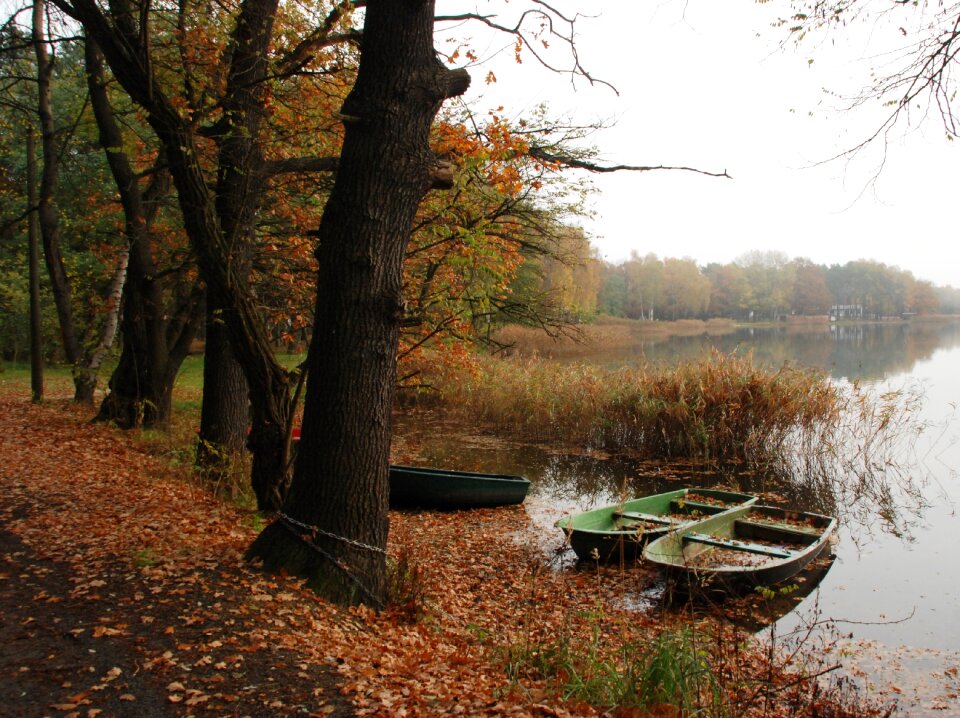 Fog mist landscape
