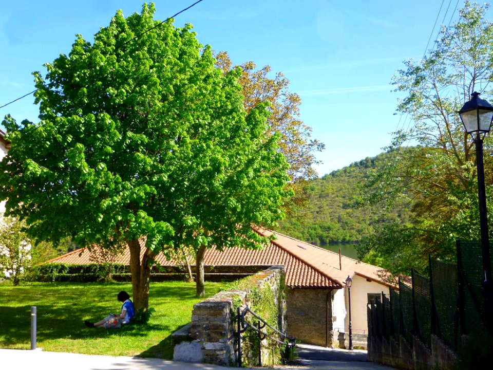 Ullíbarri-Gamboa 22