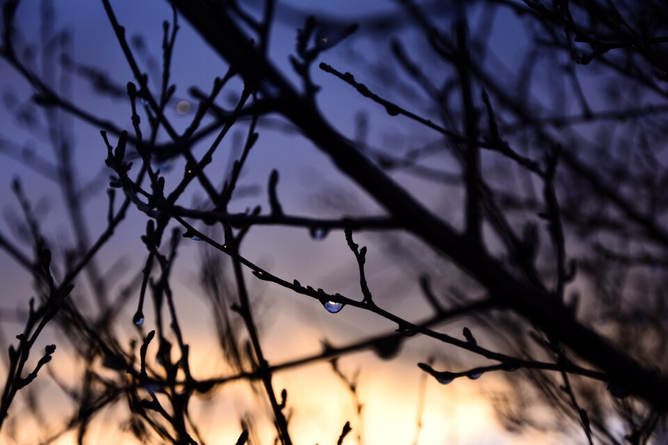 Sunset landscape droplet