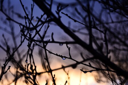 Sunset landscape droplet