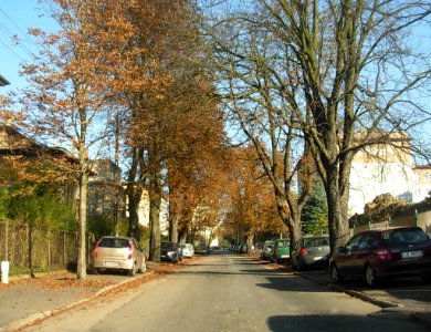 Ulica Pestalozziego Bydg 2012