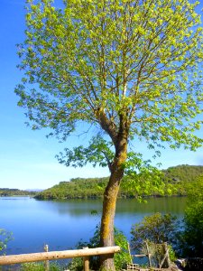 Ullíbarri-Gamboa - Embalse de Ullíbarri 21