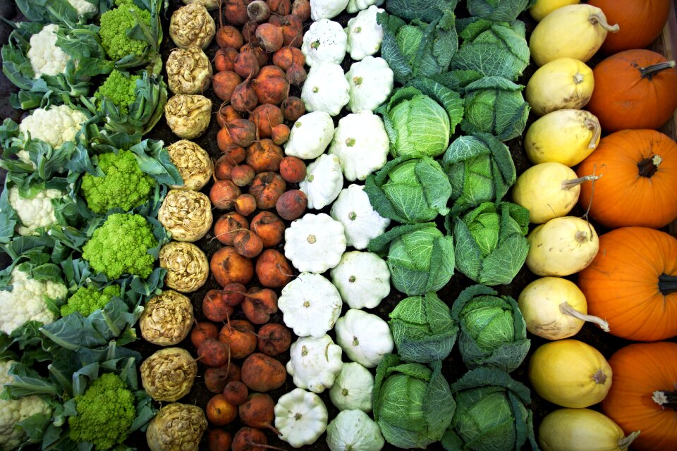 Pumpkin celery background