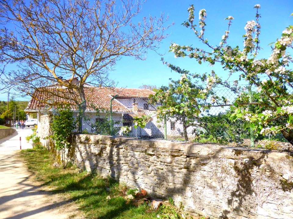 Ullíbarri-Gamboa 07