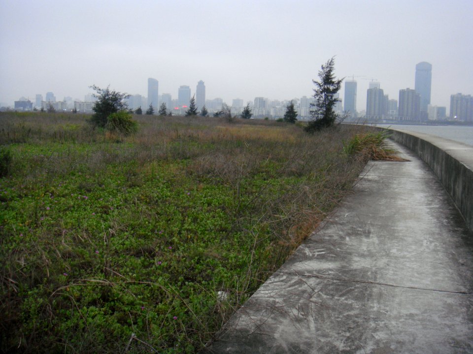 Unidentified artificial island in 2015 - 04