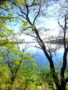 Ullíbarri-Gamboa - Embalse de Ullíbarri 32
