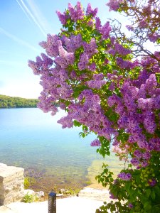 Ullíbarri-Gamboa - Embalse de Ullíbarri 28