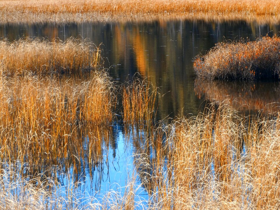 Pond october nature