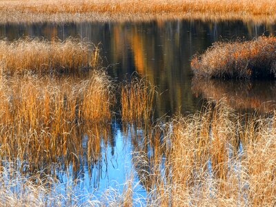 Pond october nature
