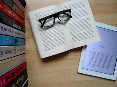Desk bookworm reading
