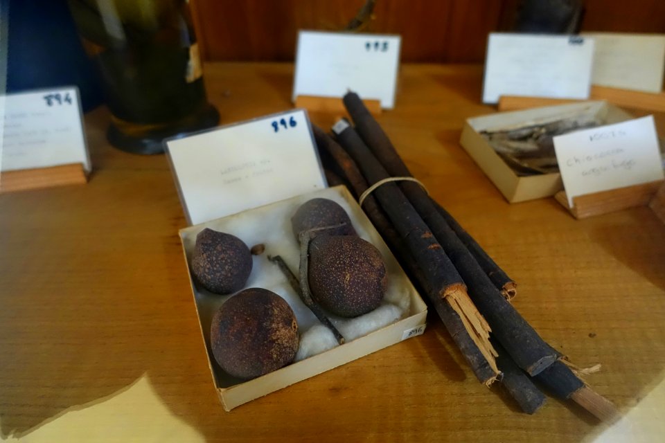 Unidentified - Colégio de São Bento - University of Coimbra - Coimbra, Portugal - DSC09027