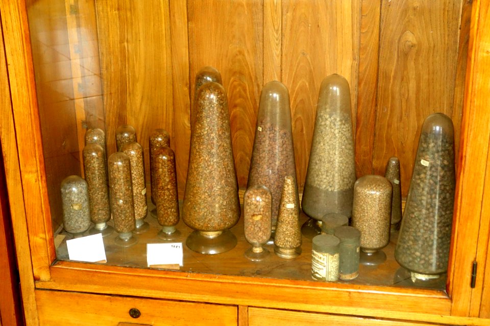 Unidentified - Colégio de São Bento - University of Coimbra - Coimbra, Portugal - DSC09033