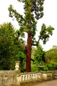 Unidentified - Jardim Botânico da Universidade de Coimbra - Coimbra, Portugal - DSC08862