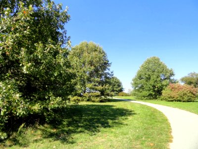 University of Kentucky Arboretum - DSC09327