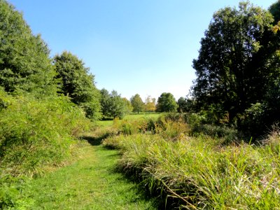 University of Kentucky Arboretum - DSC09351