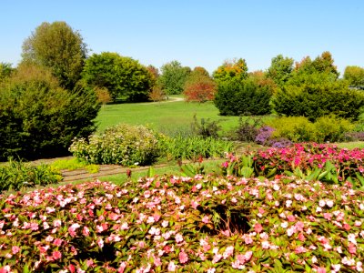 University of Kentucky Arboretum - DSC09377