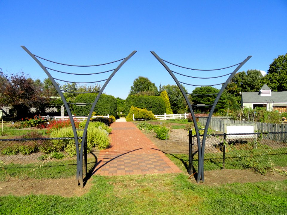 University of Kentucky Arboretum - DSC09371