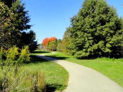 University of Kentucky Arboretum - DSC09358