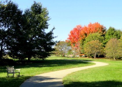 University of Kentucky Arboretum - DSC09364