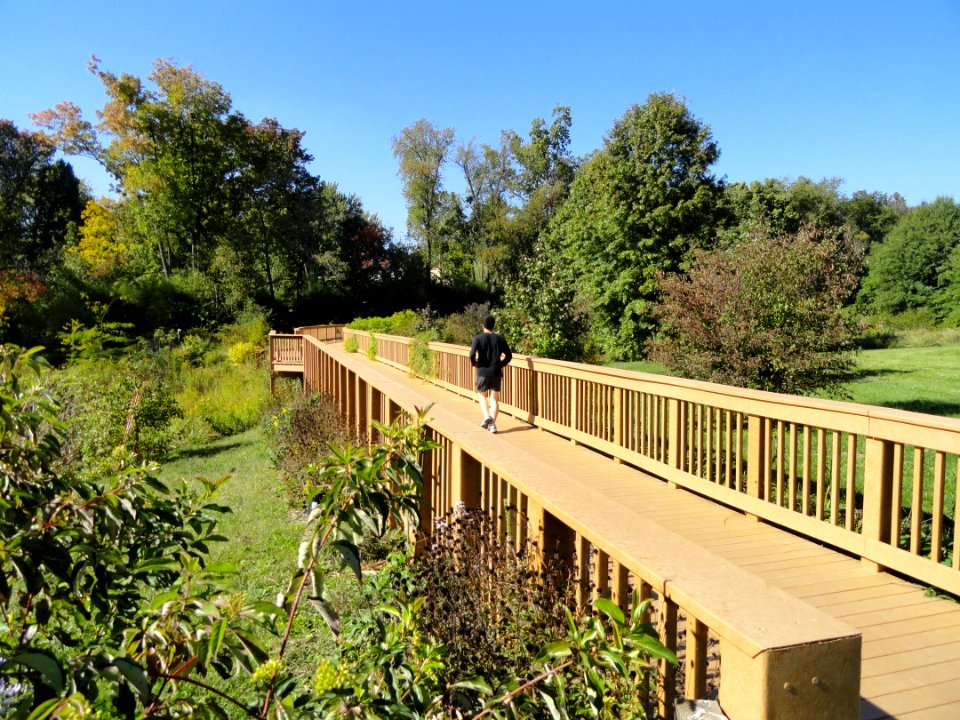University of Kentucky Arboretum - DSC09338