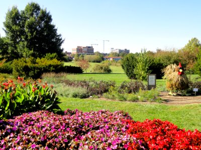 University of Kentucky Arboretum - DSC09378