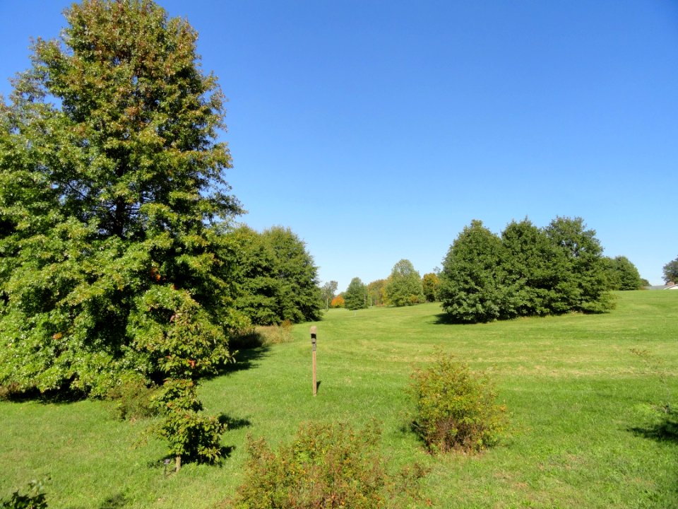 University of Kentucky Arboretum - DSC09341