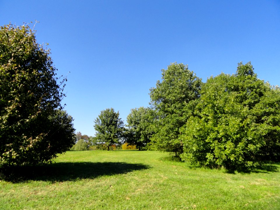 University of Kentucky Arboretum - DSC09328