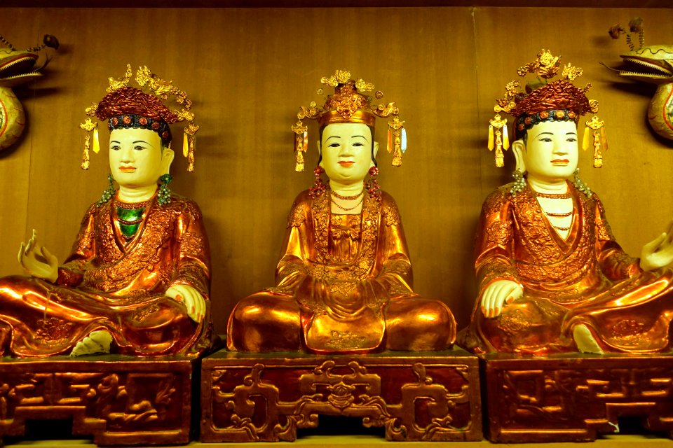 Unidentified statues - Vietnam Museum of Ethnology - Hanoi, Vietnam - DSC02582