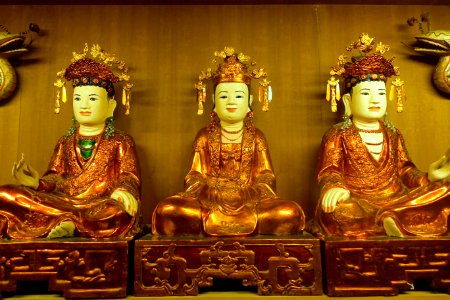 Unidentified statues - Vietnam Museum of Ethnology - Hanoi, Vietnam - DSC02582