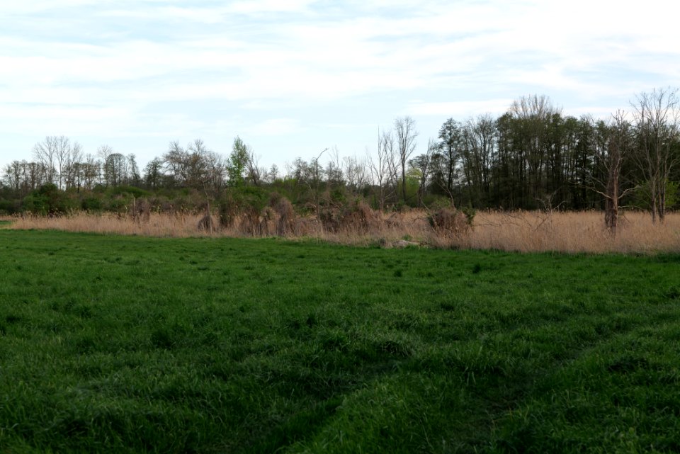 Umgebung Prierowsee 2021-05-09 16