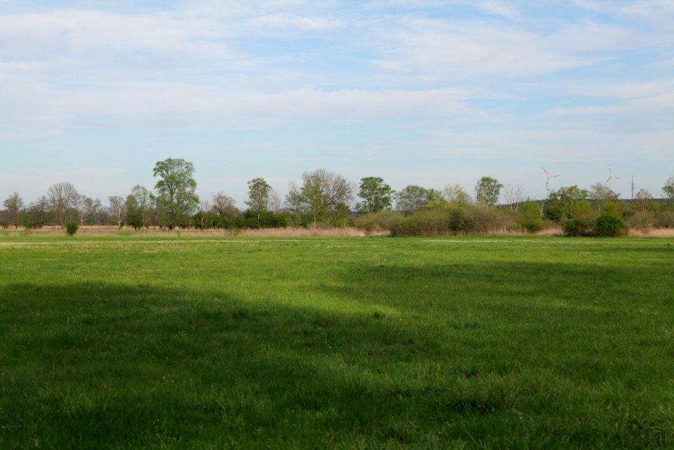 Umgebung Prierowsee 2021-05-09 33