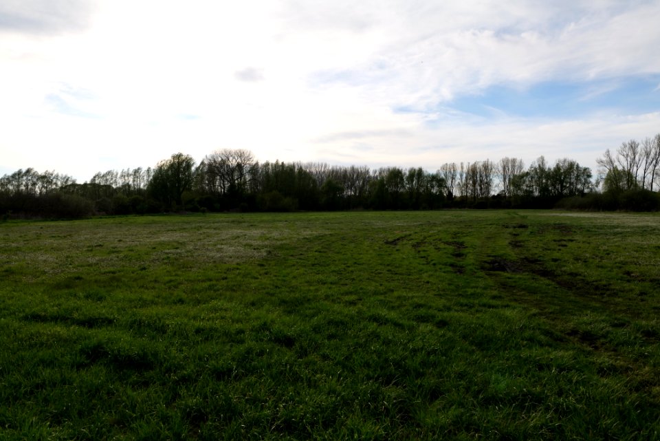 Umgebung Prierowsee 2021-05-09 29