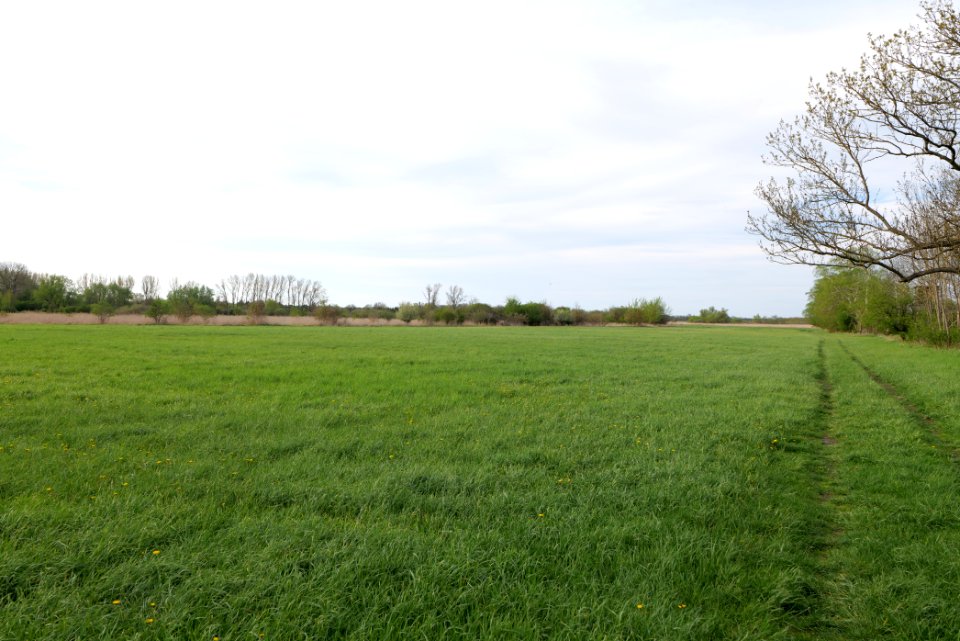 Umgebung Prierowsee 2021-05-09 26