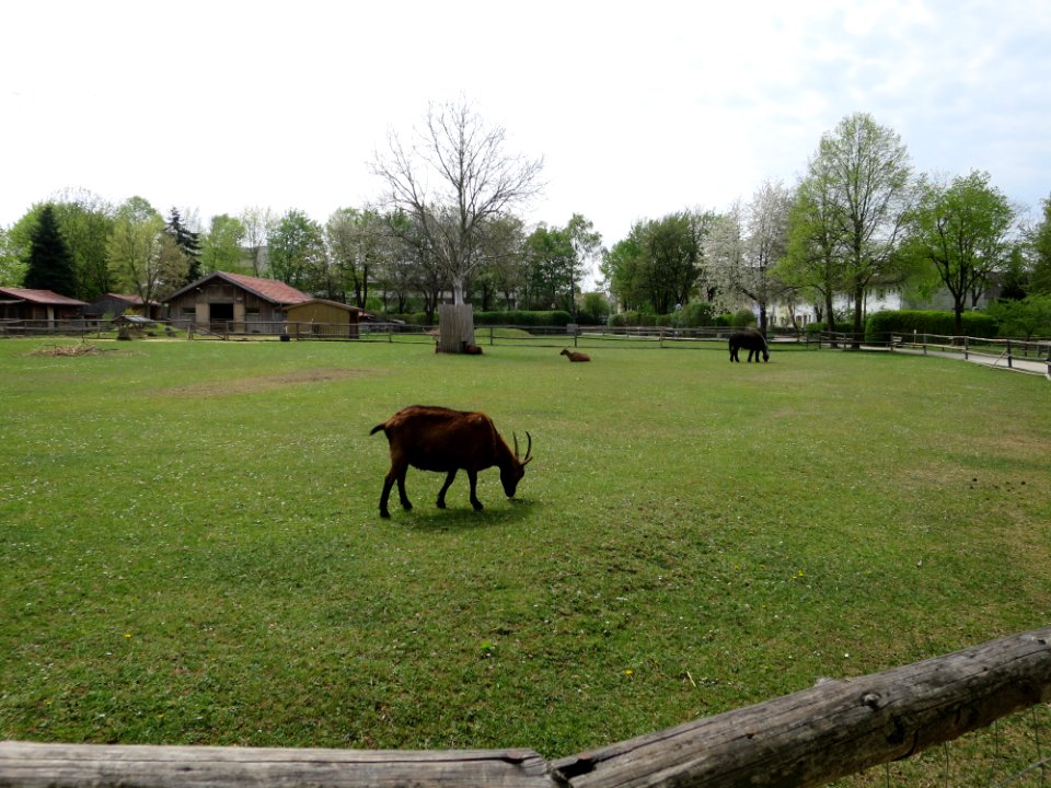 Umweltgarten Neubiberg 1