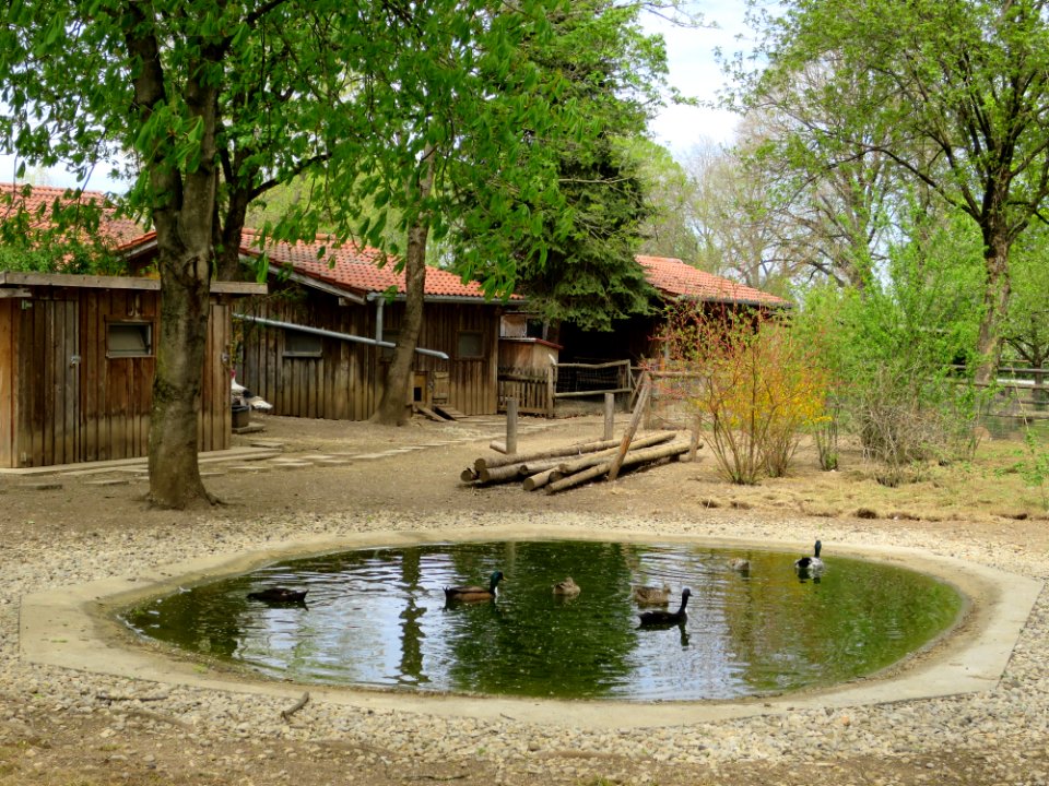 Umweltgarten Neubiberg 17