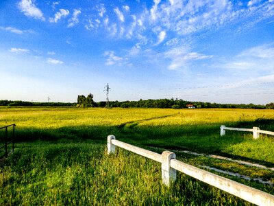 Spring bridge landscape