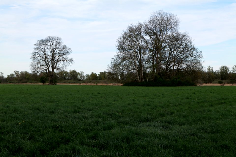 Umgebung Prierowsee 2021-05-09 19