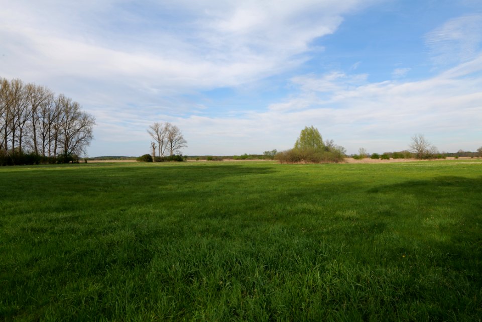 Umgebung Prierowsee 2021-05-09 37